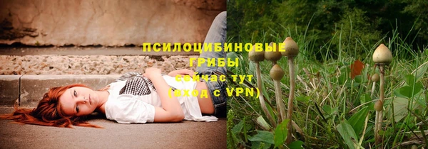 прущая мука Магас