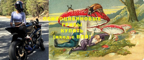 гидра Магадан