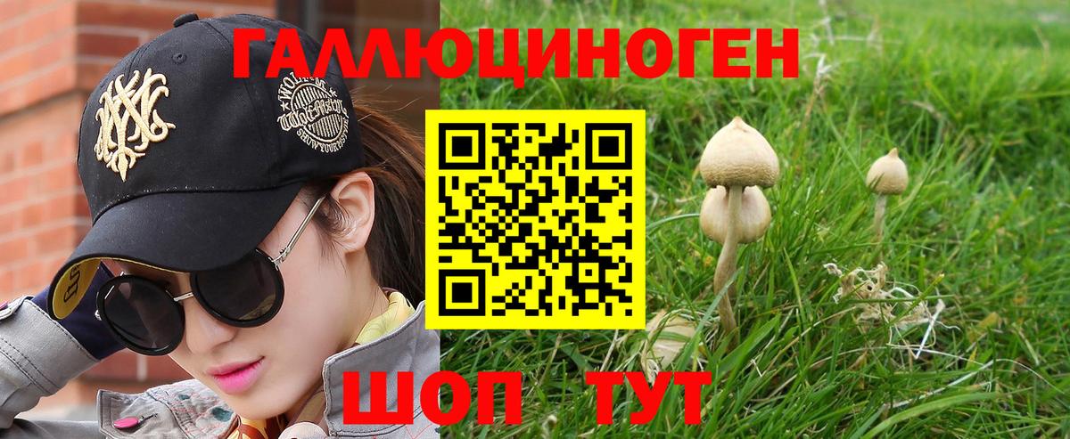 Галлюциногенные грибы мицелий  Псилоцибиновые грибы Magic Shrooms  Черняховск  Вход с VPN 