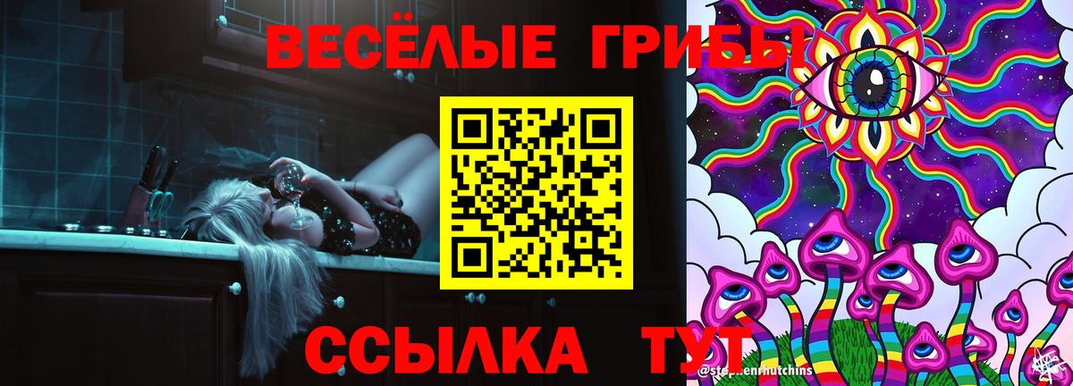 Галлюциногенные грибы прущие грибы Черняховск